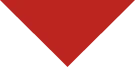 arrow-red-bottom-icon